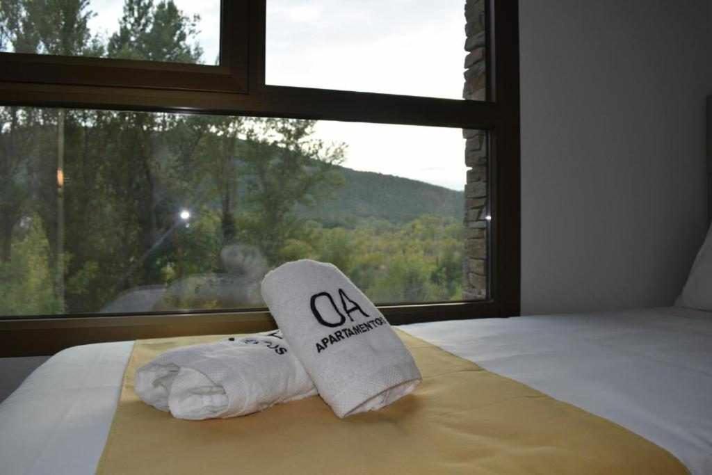 Apartamentos Ordesa Aínsa Pokoj fotografie