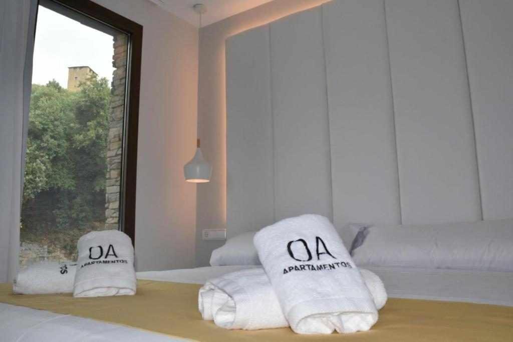 Apartamentos Ordesa Aínsa Pokoj fotografie